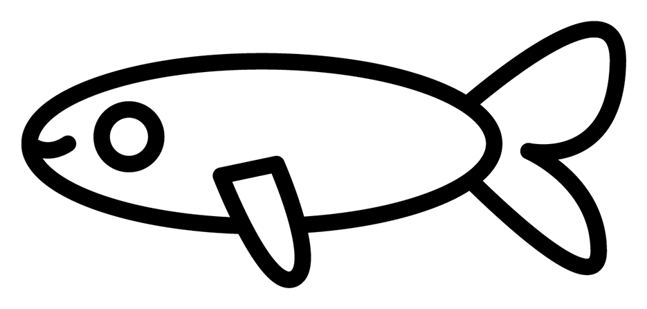 Cat illustration